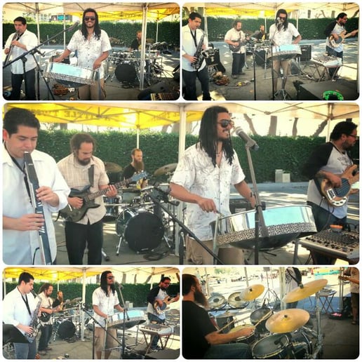 Gallery photo 15 of Danny Williams Steel Drummer/Vocalist