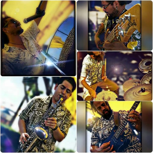 Gallery photo 5 of Danny Williams Steel Drummer/Vocalist