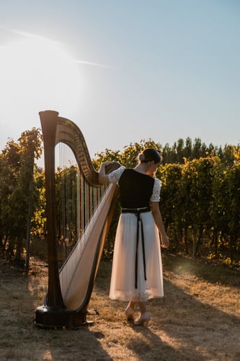 Gallery photo 2 of Irinaharpist