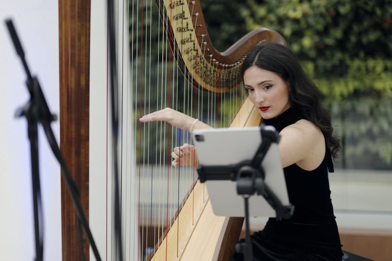 Gallery photo 5 of Irinaharpist