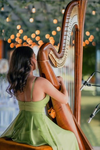 Gallery photo 7 of Irinaharpist
