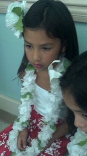 Gallery photo 8 of Island Style Productions