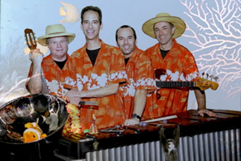 Gallery photo 3 of Island Voyage / Steel Drum Band
