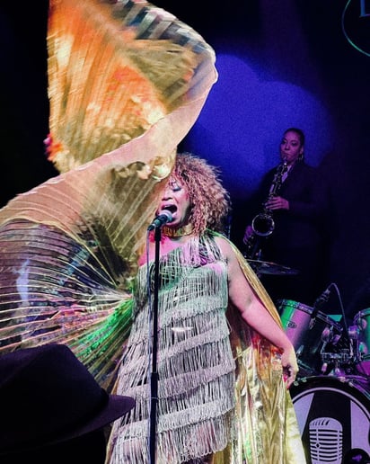 Gallery photo 3 of i.Tina (Tina Turner Tribute Band)