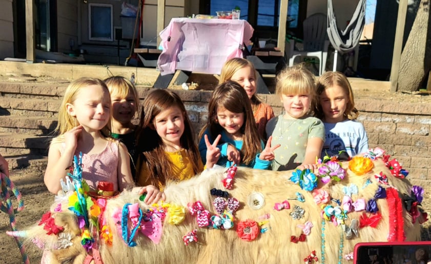 Gallery photo 1 of Itty-Bitty Pony Parties