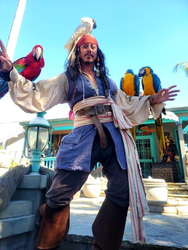 Gallery photo 8 of Captain Jack Live