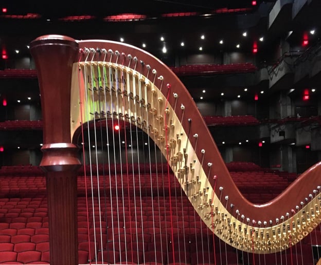 Gallery photo 6 of Jacy Cina, Harpist