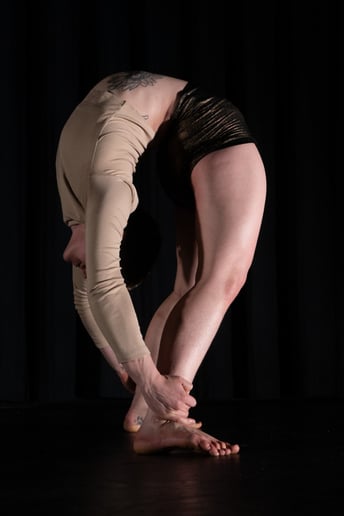 Gallery photo 3 of Contortion by Four
