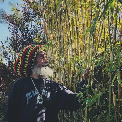 Gallery photo 2 of JAH Faith