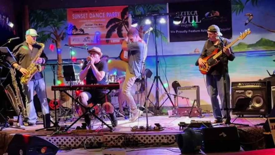 Gallery photo 5 of Jamdemic Band
