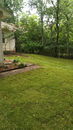 Gallery photo 6 of James and landscaping service