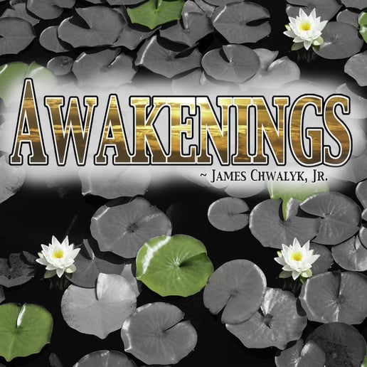 Gallery photo 1 of James Chwalyk