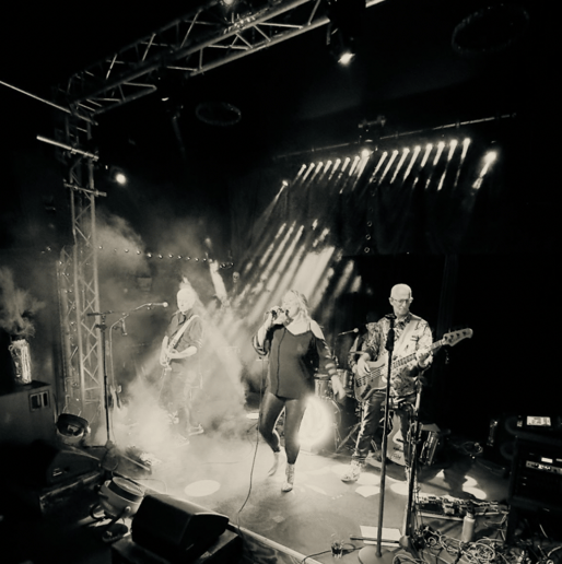 Gallery photo 9 of Jane Blonde and the Goldfingers
