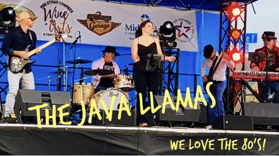 Gallery photo 9 of Java Llamas