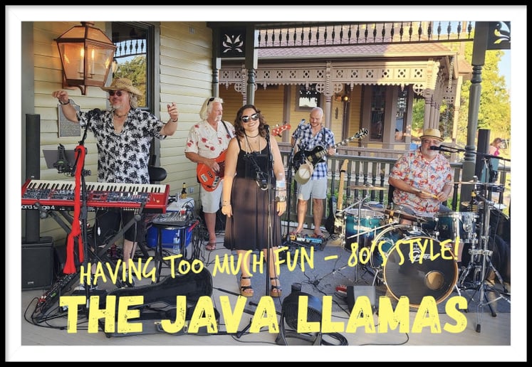 Gallery photo 13 of Java Llamas
