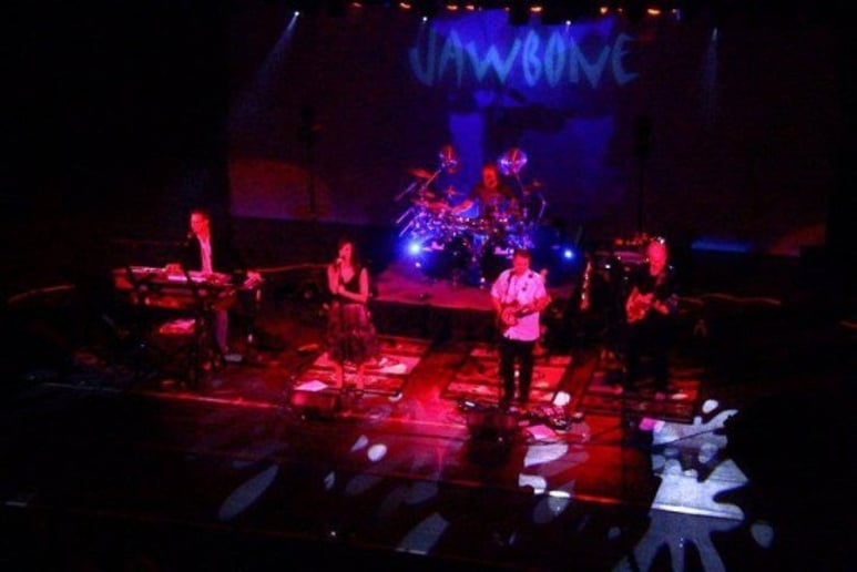 Gallery photo 1 of Jawbone