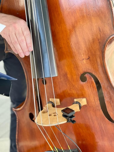 Gallery photo 21 of Jazz Breeze