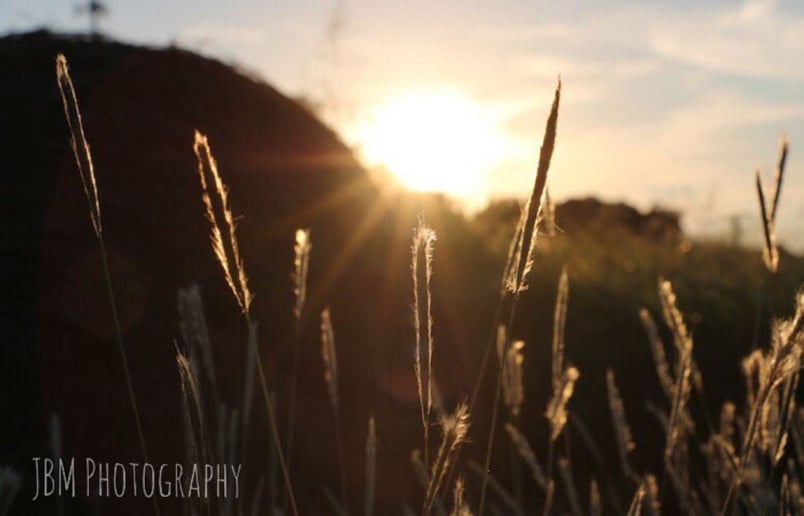 Gallery photo 2 of JBM Photography