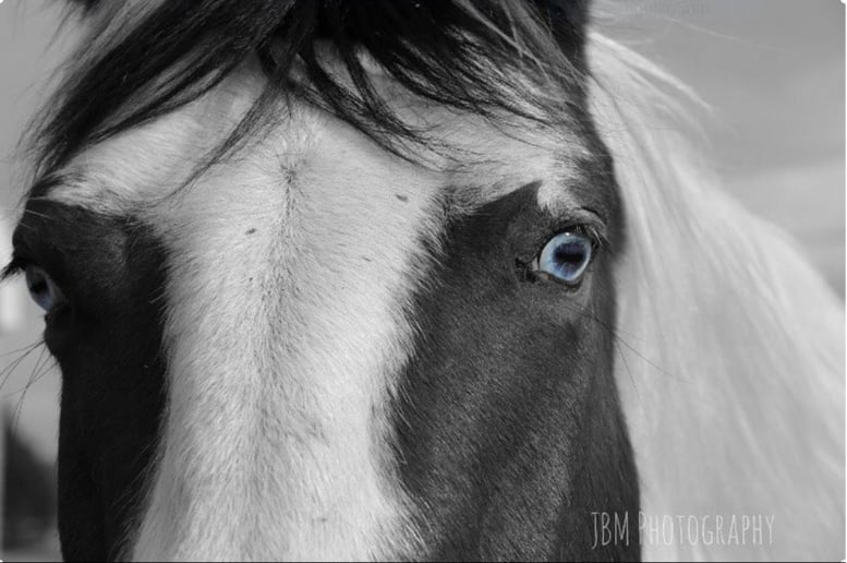 Gallery photo 3 of JBM Photography