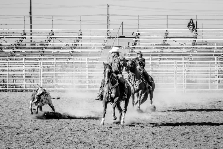 Gallery photo 5 of JCVPhotography