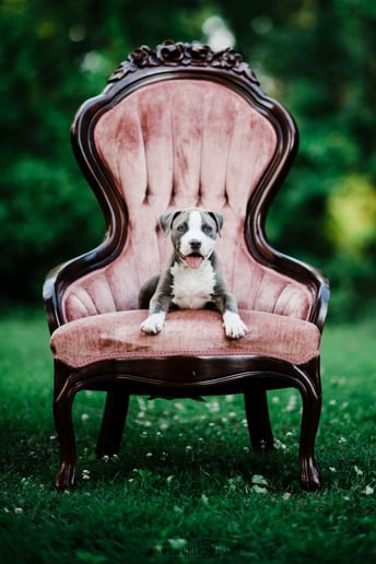 Gallery photo 7 of Jennifer Brecheisen Photography