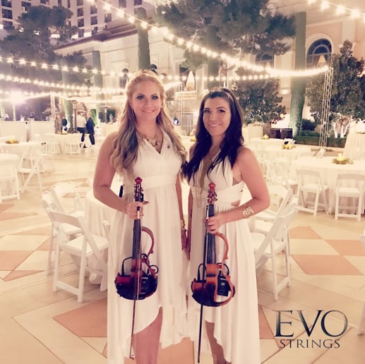 Gallery photo 7 of EVO Electric Strings