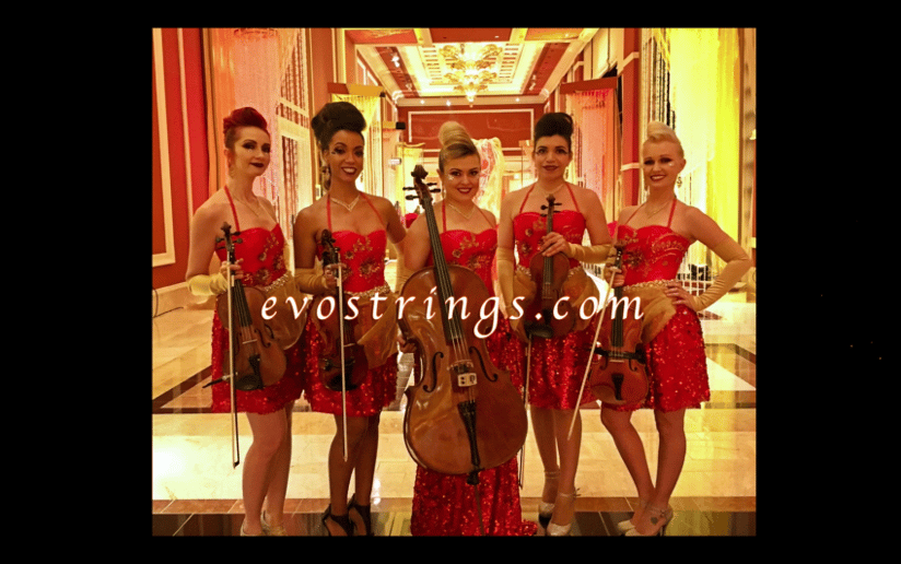 Gallery photo 3 of EVO Electric Strings