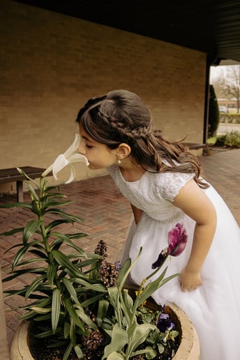 Gallery photo 9 of Jenny Jaser Photography