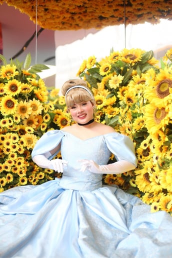 Gallery photo 3 of Jersey City Princess Parties