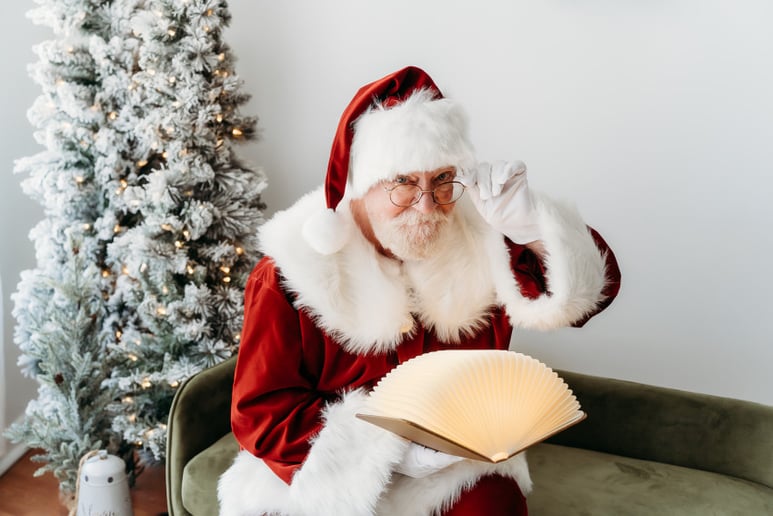 Gallery photo 2 of Jersey Santa and Friends