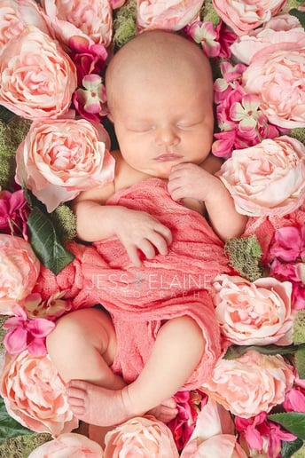 Gallery photo 2 of Jess Elaine Photography