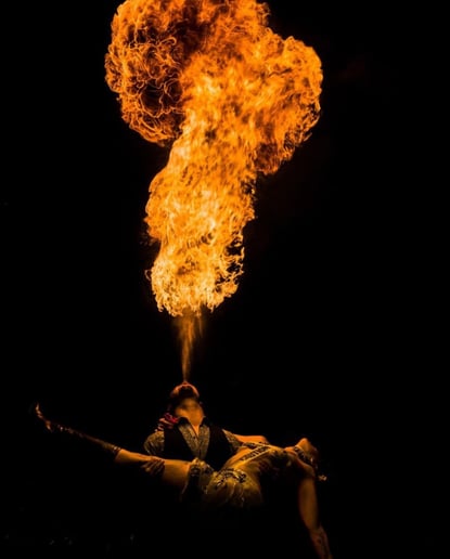 Gallery photo 4 of Jesse Fire Performer
