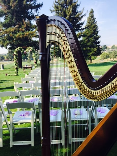 Gallery photo 10 of Jessica Schaeffer, Harp