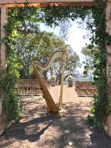 Gallery photo 4 of Jessica Schaeffer, Harp