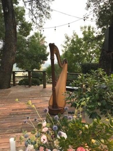 Gallery photo 2 of Jessica Schaeffer, Harp