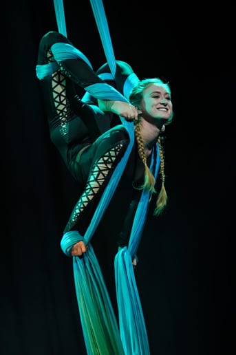 Gallery photo 1 of Jessica Thomas Aerialist