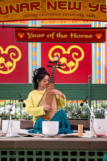 Gallery photo 1 of Chinese Music-Ancient Instruments Meet the Modern Ears
