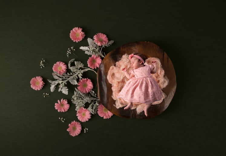 Gallery photo 8 of Jill Matthew's Photography