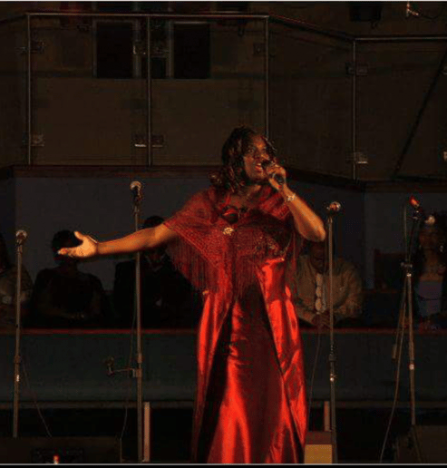 Gallery photo 8 of Jillebeeharmonibird
