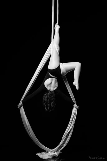 Gallery photo 2 of Silky Silhouettes
