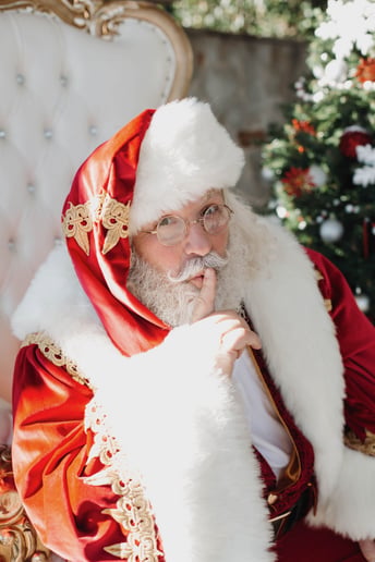 Gallery photo 8 of Jingle Santa