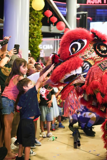 Gallery photo 6 of Jiu Long Lion Dance Troupe