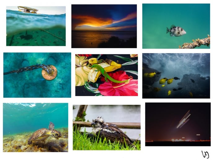 Gallery photo 1 of JJ Tondo Photography