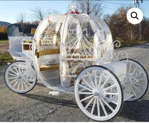Gallery photo 3 of J&L Carriage