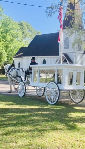 Gallery photo 5 of J&L Carriage