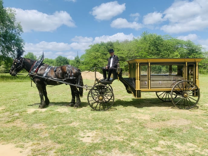 Gallery photo 7 of J&L Carriage