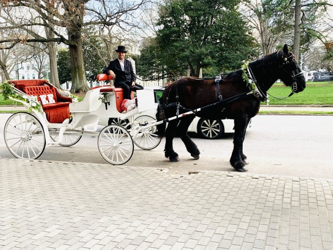 Gallery photo 6 of J&L Carriage