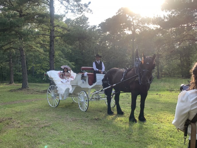 Gallery photo 9 of J&L Carriage