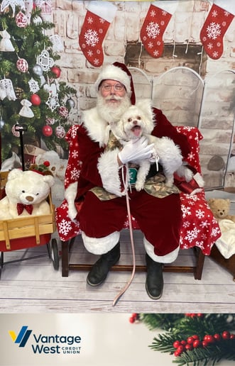 Gallery photo 5 of J&L Santa Team