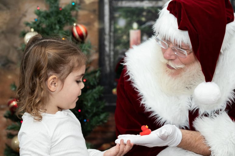 Gallery photo 3 of J&L Santa Team